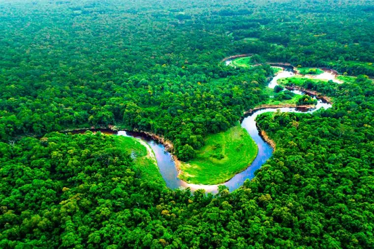 Imagen aérea de la Selva Amazónica del Perú